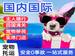 白云机场货运国际宠物托运 【国